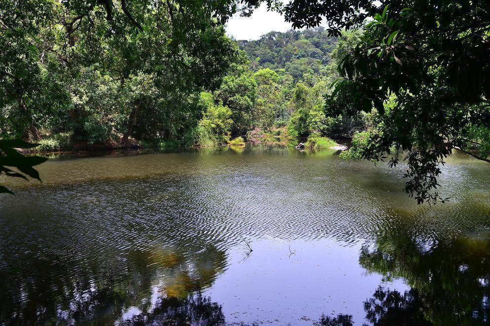 River Near Coorg Jambur المظهر الخارجي الصورة